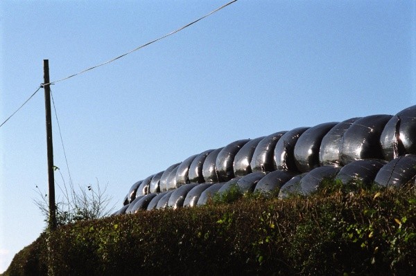 Silage bales, 2005