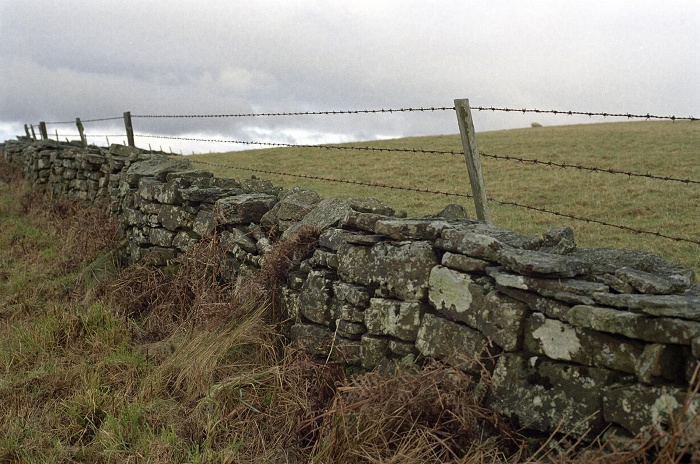 January 2006. Dry stone wall and dried bracken