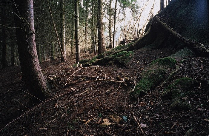 January 2006. Offa's Dyke Path 1