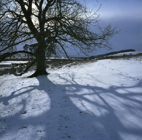 March 2006: Glorious snowy morning 