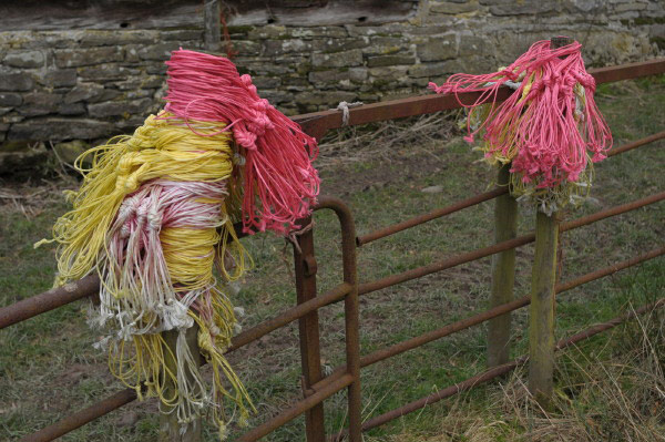 Baler twine collected on fence posts