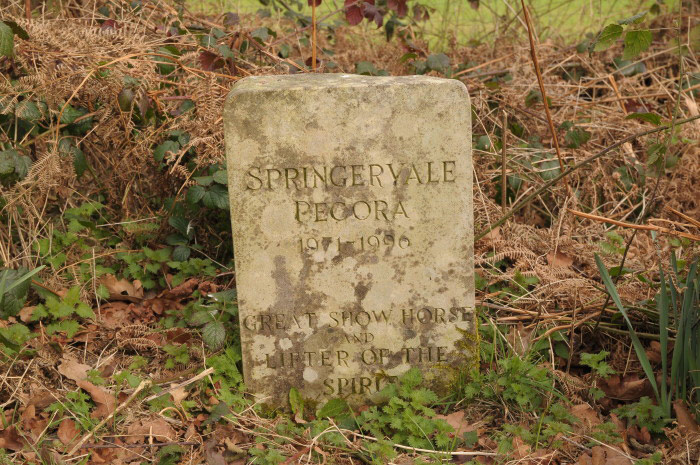Grave of racehorse