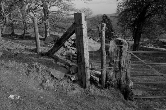 Gate and fencepost