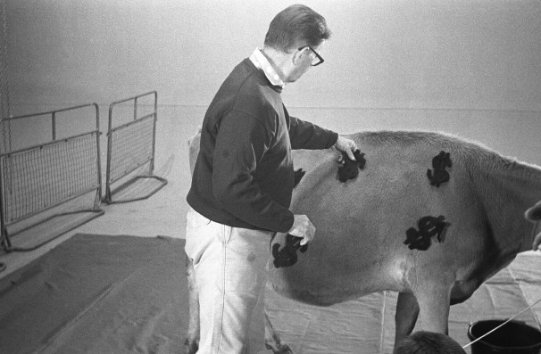 cow sticker