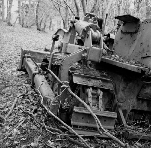 Another crawler, this time in a forest.